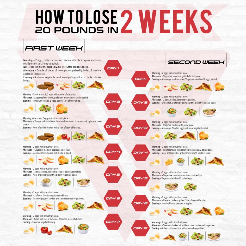 Unlocking the Power of Foods for Weight Loss Success